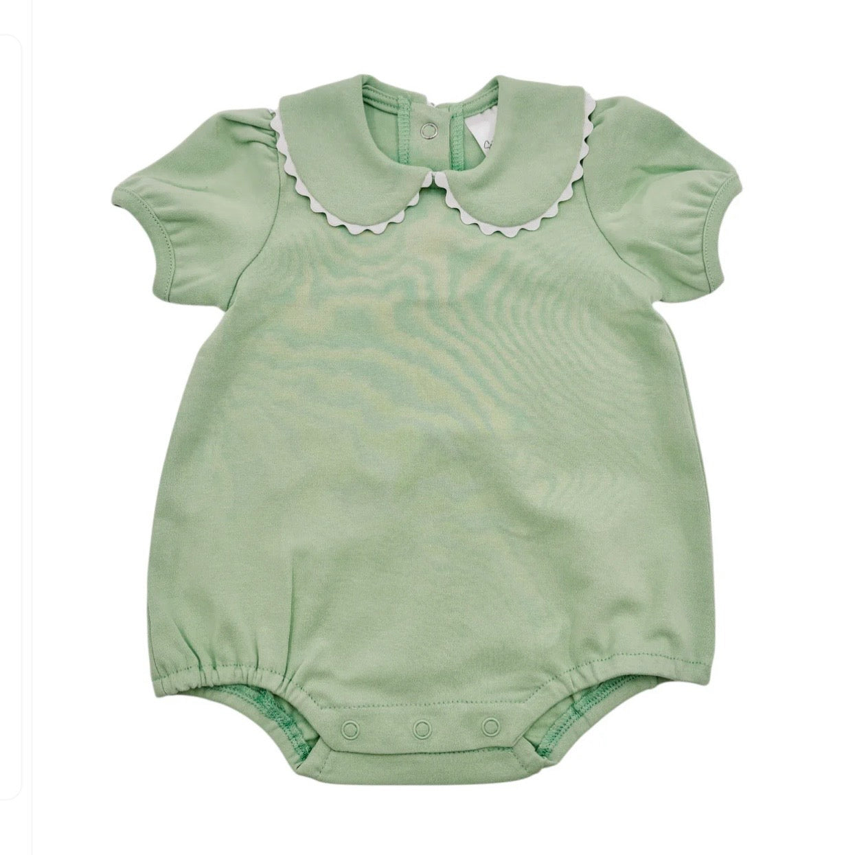 Scalloped Collard Bubble Short Sleeve